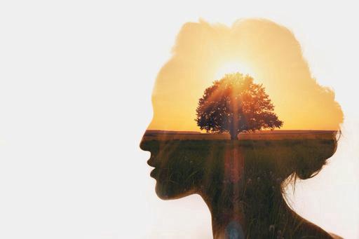 woman head silhouette with tree growing inside 